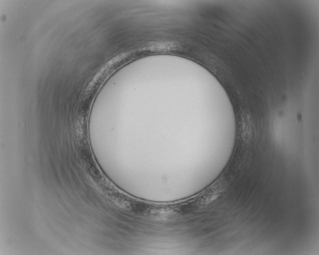 X0000051920208200507152105