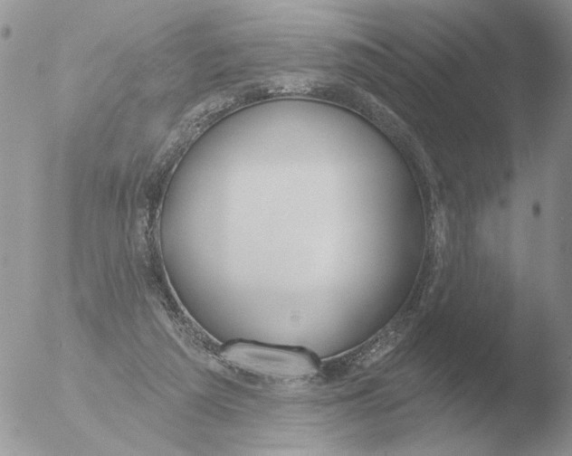 X0000051920209200507152105