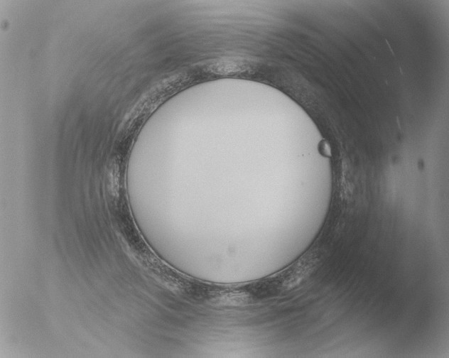 X0000051920210200507152105