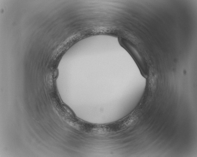 X0000051920211200507152105