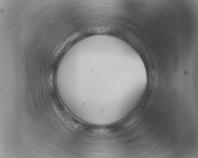 X0000051920212200507152105