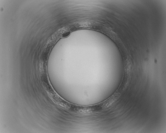 X0000051920213200507152105