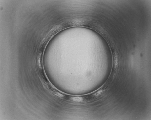 X0000051920214200507152105