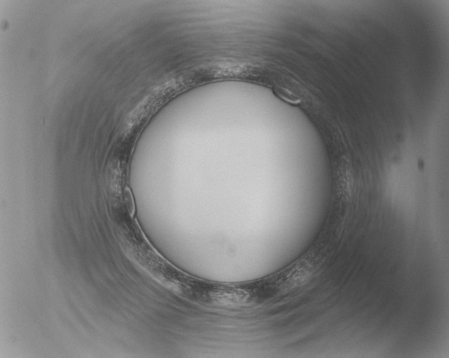 X0000051920215200507152105