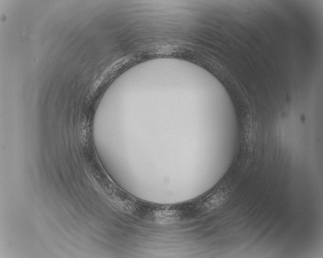 X0000051920216200507152105