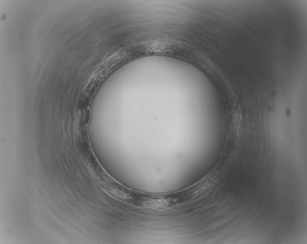 X0000051920217200507152105