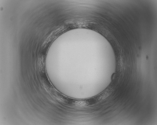 X0000051920218200507152105