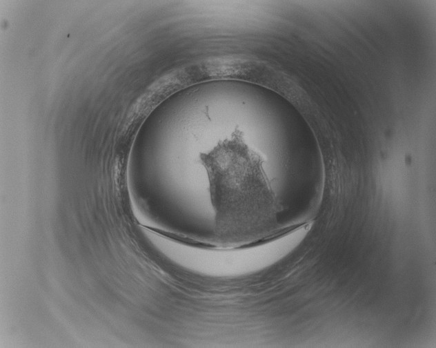 X0000051920219200507152105