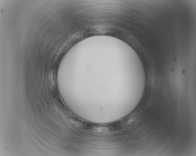 X0000051920220200507152105