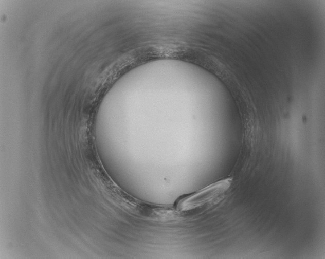 X0000051920221200507152105