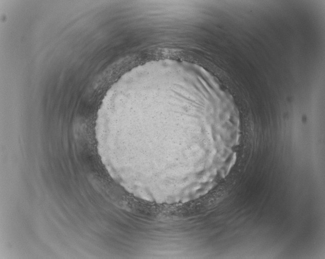 X0000051920222200507152105