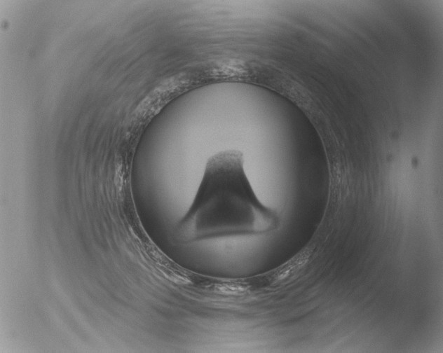 X0000051920223200507152105