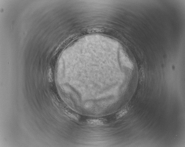 X0000051920224200507152105