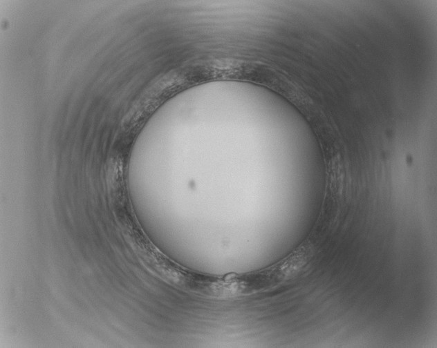 X0000051920225200507152105