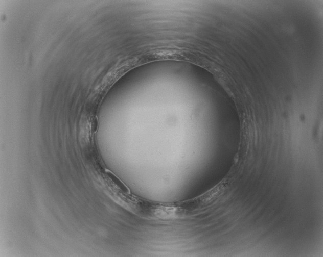 X0000051920227200507152105