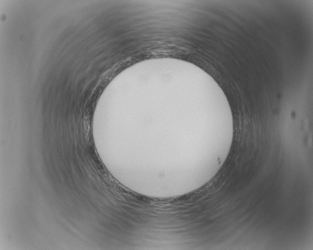 X0000051920228200507152105