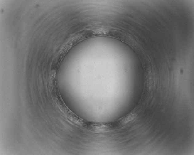 X0000051920229200507152105