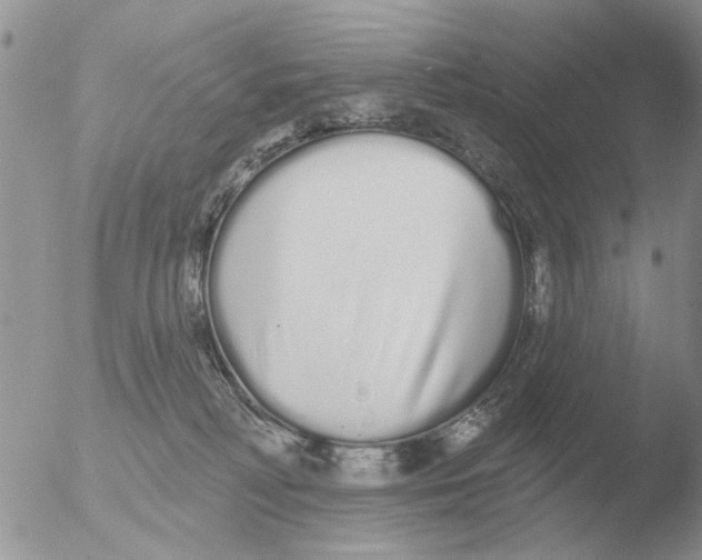 X0000051920230200507152105