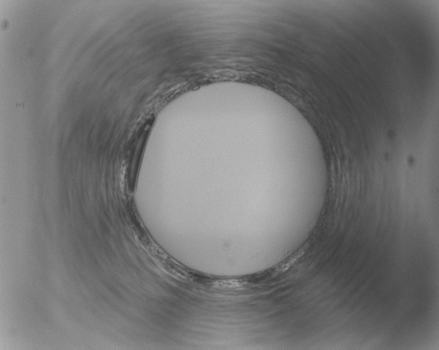 X0000051920231200507152105