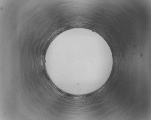 X0000051920232200507152105