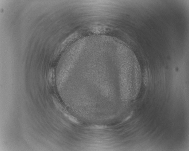 X0000051920233200507152105