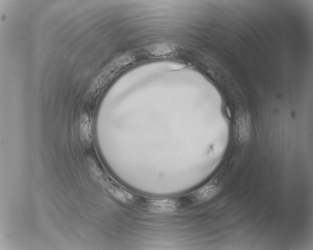 X0000051920234200507152105