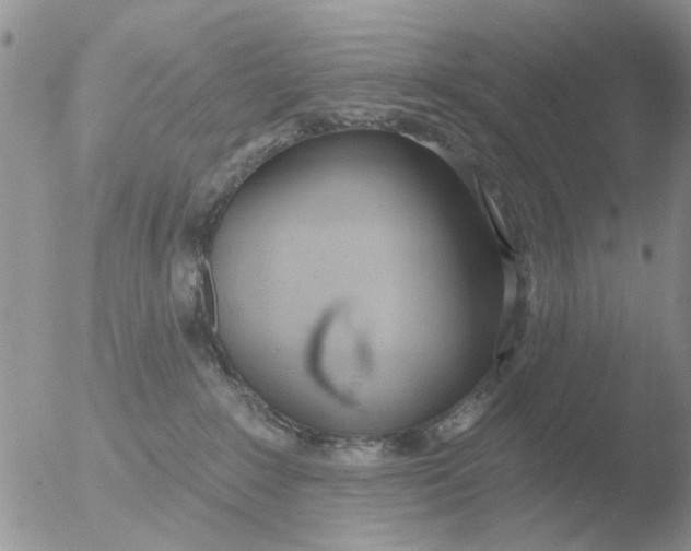 X0000051920235200507152105