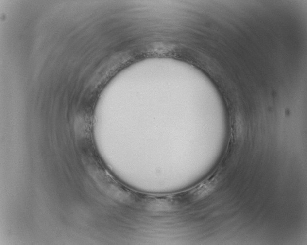 X0000051920236200507152105