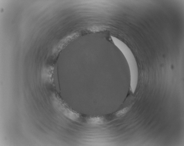 X0000051920237200507152105