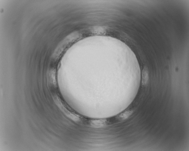 X0000051920238200507152105