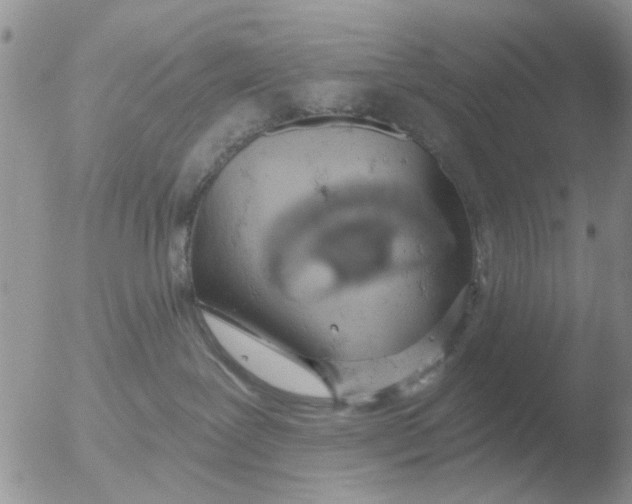 X0000051920239200507152105