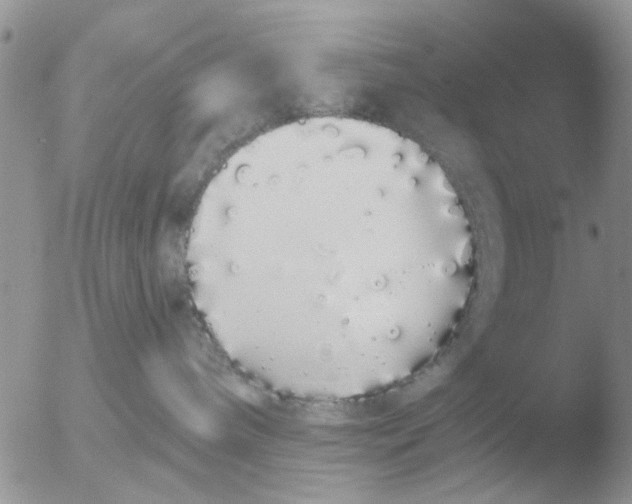 X0000051920240200507152105