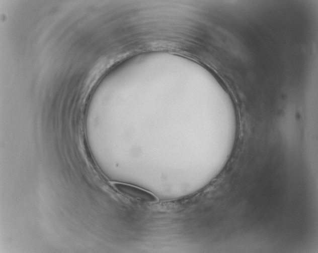 X0000051920241200507152104