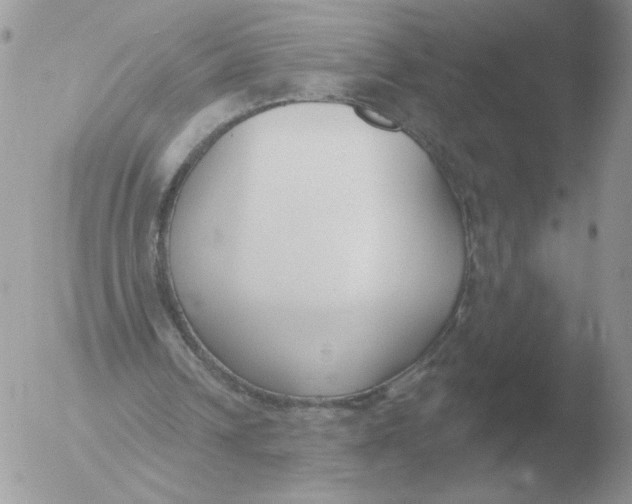 X0000051920242200507152104