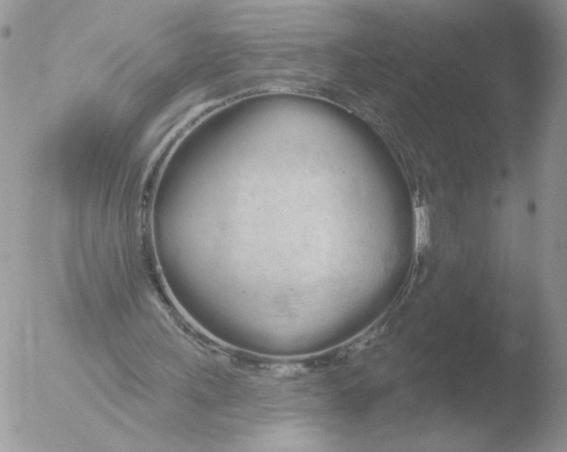 X0000051920243200507152104