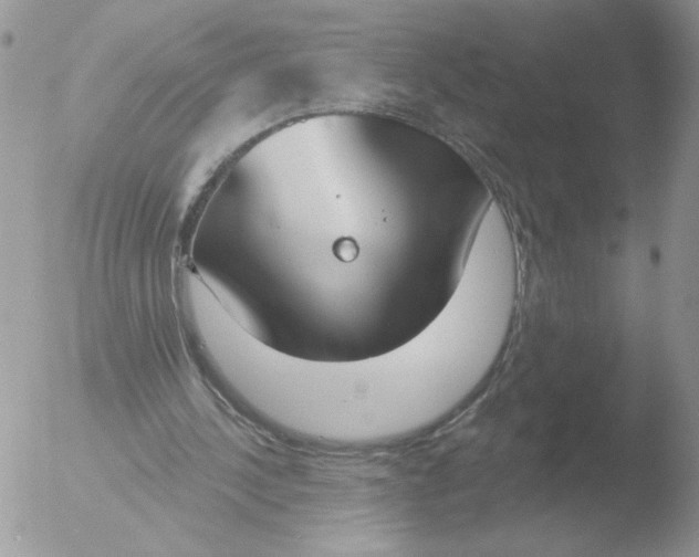 X0000051920244200507152104