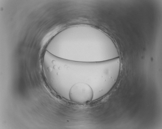 X0000051920245200507152104