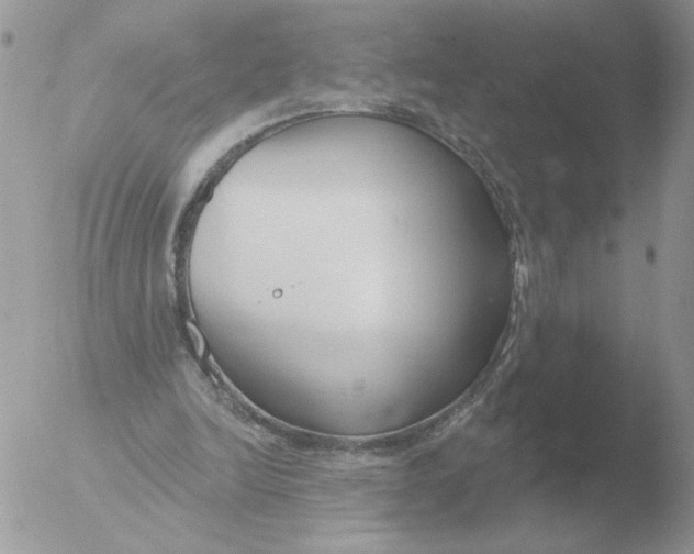 X0000051920246200507152104