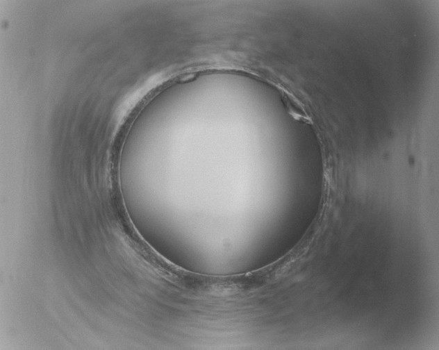 X0000051920248200507152104