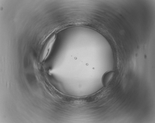 X0000051920251200507152104