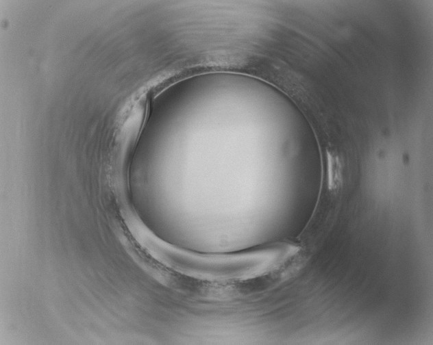 X0000051920252200507152104