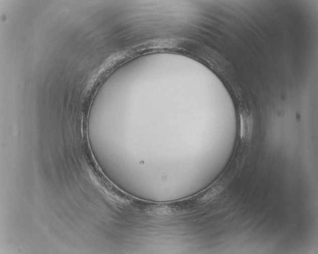 X0000051920253200507152104