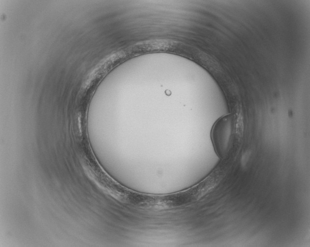 X0000051920254200507152104