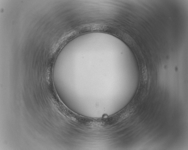 X0000051920255200507152104