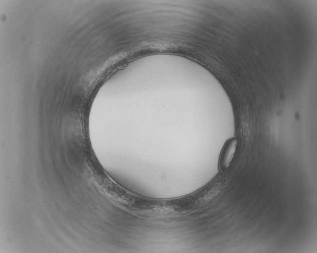 X0000051920256200507152104