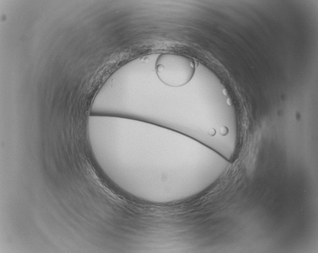 X0000051920257200507152104