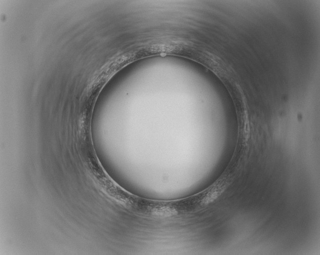 X0000051920258200507152104