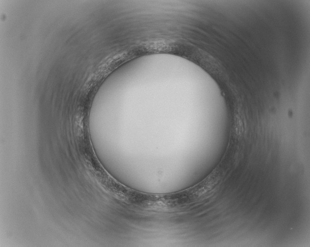 X0000051920259200507152104