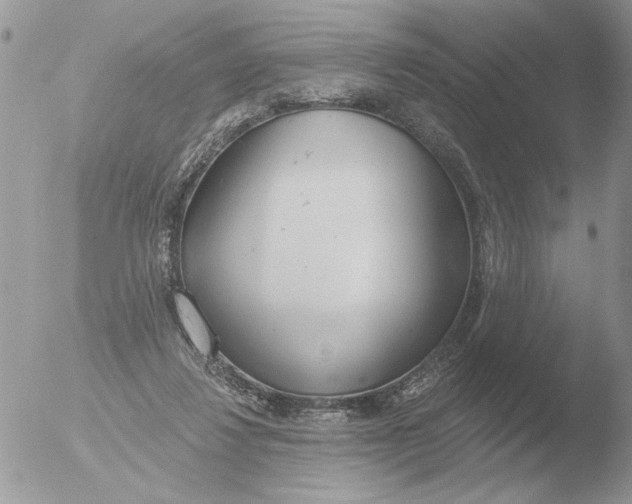 X0000051920260200507152104