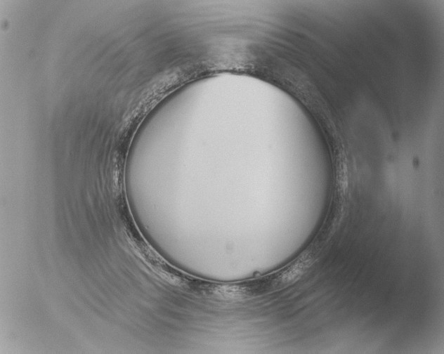 X0000051920261200507152104